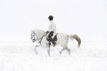 Teenage girl riding horse at winter — Stock Photo