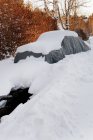 Car covered with snow near trees at winter — Stock Photo