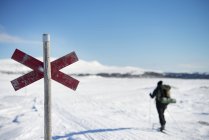 Rückansicht des Skifahrers in der Winterlandschaft — Stockfoto