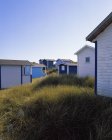 Coloridas cabañas en la playa cubierta de hierba bajo el cielo azul - foto de stock