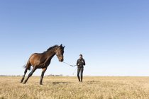 Woman standing with one horse outdoors — Stock Photo