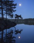 Lago con foresta sotto il cielo blu con luna — Foto stock