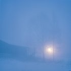 Фермерські будинки і голі дерева в тумані — стокове фото