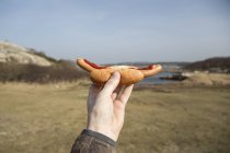 Male hand holding hot dog outdoors in sunlight — Stock Photo