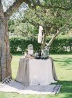 Front view of table and rug under trees — Stock Photo
