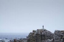 Вид сбоку на женщину, стоящую на скале — стоковое фото
