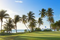 Vista campo da golf con palme al mare — Foto stock