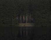 Мальовничим видом дерев на березі річки вночі — стокове фото