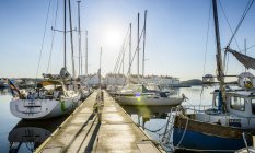 Front view of yachts anchored in harbor — Stock Photo