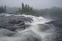 Movimiento borroso ristafallet cascada agua y árboles verdes - foto de stock