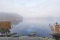 Niebla sobre el lago con pequeño muelle de madera - foto de stock