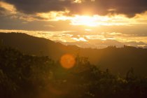 Vue panoramique sur le vignoble au coucher du soleil, fusée éclairante — Photo de stock