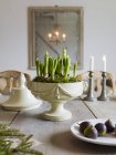Elegante mesa de jantar com vaso de plantas e figos — Fotografia de Stock