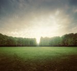 Green meadow and trees under cloudy sky — Stock Photo