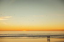 Vista panorámica de la puesta de sol sobre el mar y siluetas de las personas - foto de stock