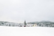 Paesaggio della foresta invernale con case in primo piano — Foto stock