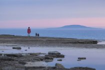 Mulher com cão em pé na costa — Fotografia de Stock