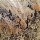 Texture du paysage rocheux avec des pins — Photo de stock