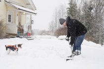 Homem maduro limpando neve com cão — Fotografia de Stock