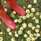 Frau in roten Gummistiefeln steht zwischen Äpfeln — Stockfoto