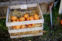 Vista sopraelevata di zucche con paglia in scatola di legno — Foto stock