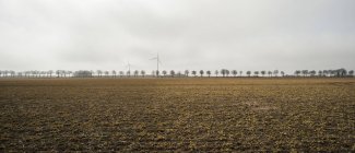 Vista di turbine eoliche lontane e alberi all'orizzonte — Foto stock