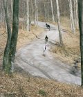 Ciclistas en el bosque, enfoque selectivo - foto de stock