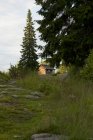 Невеличка дерев'яна хата в сосновому лісі — стокове фото