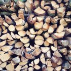Вид сбоку на текстуру кучи дров — стоковое фото