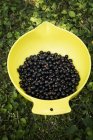Elevated view of blackcurrant in yellow bowl — Stock Photo