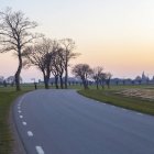 Road in green fields with bare trees at dusk — Stock Photo