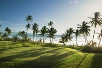 Вид на поле для гольфу з долонями на морі — стокове фото