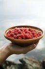 Female hand holding bowl of raspberries near lake — Stock Photo