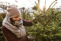 Mulher escolhendo árvore de Natal, foco em primeiro plano — Fotografia de Stock
