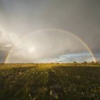 Rainbow over green field in cloudy sky — Stock Photo