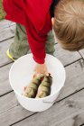 Boy touching fish in bucket, selective focus — Stock Photo