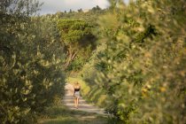 Femme marchant le long de la route dans le vignoble — Photo de stock