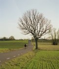 Велосипедисти на сільській дорозі, вид ззаду — стокове фото