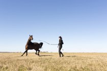 Donna con un cavallo in fattoria — Foto stock