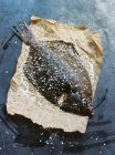 Повышенный вид европейского камбалы на хлебопекарном листе — стоковое фото