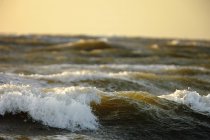 Вид спереду на морські хвилі на заході сонця — стокове фото