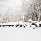 Front view of bicycle in snowy park — Stock Photo