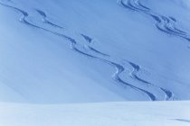 Trilhas de esqui na neve na colina coberta de neve — Fotografia de Stock