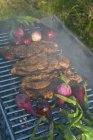 Meat and onions cooking on grill with steam — Stock Photo