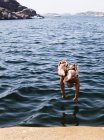 Вид сзади на человека, прыгающего в озеро летом — стоковое фото