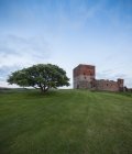 Veduta della fortezza di Hammershus con prato verde e albero, Bornholm — Foto stock