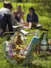 Cesta de arame com comida e garrafa térmica, mulheres sentadas na grama no fundo — Fotografia de Stock