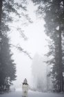 Chica en el bosque de invierno, enfoque diferencial - foto de stock