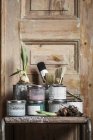 Банки краски и луковые луковицы на столе — стоковое фото