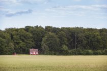 Red Farmhouse against forest under blue sky — Stock Photo
